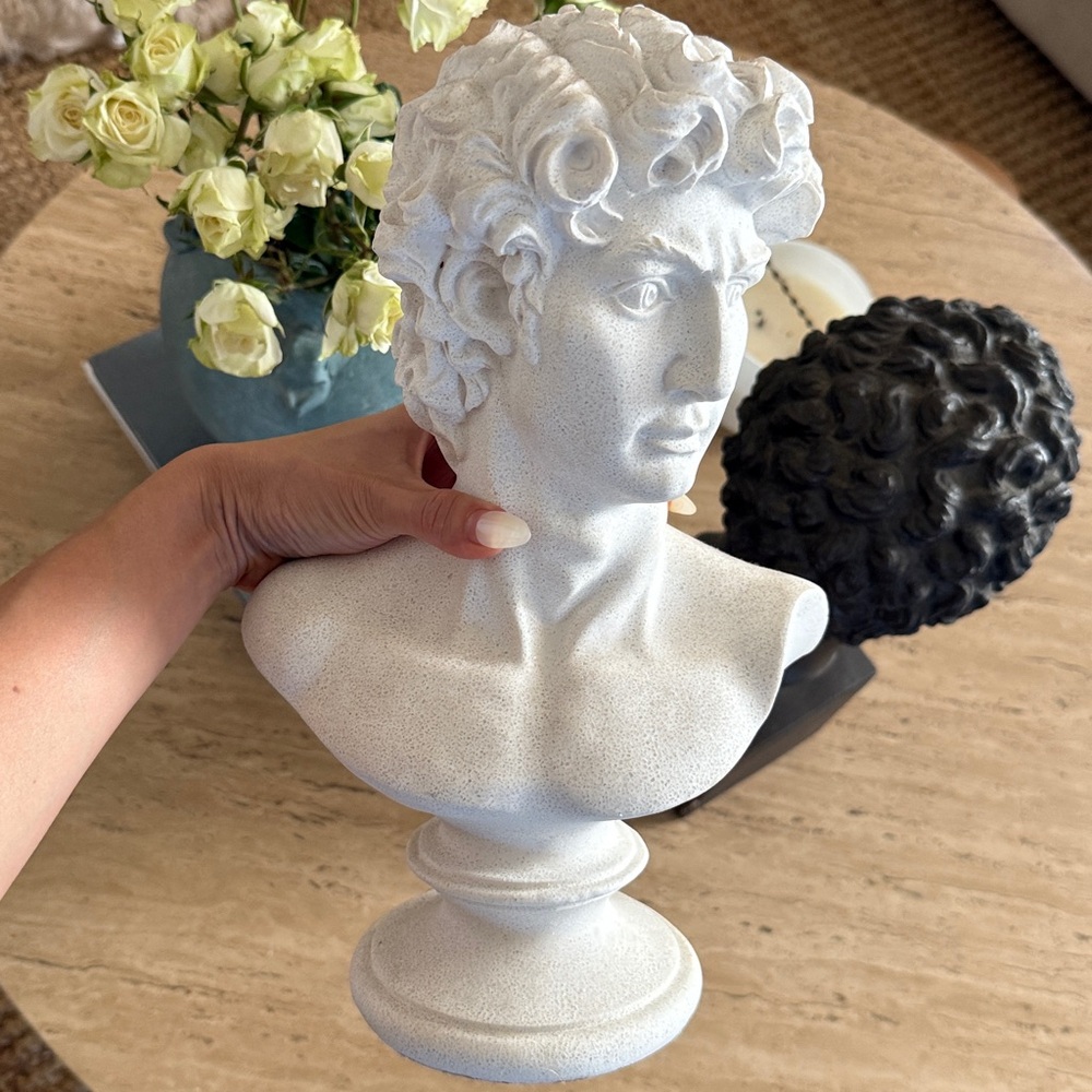 Classic David bust sculpture
